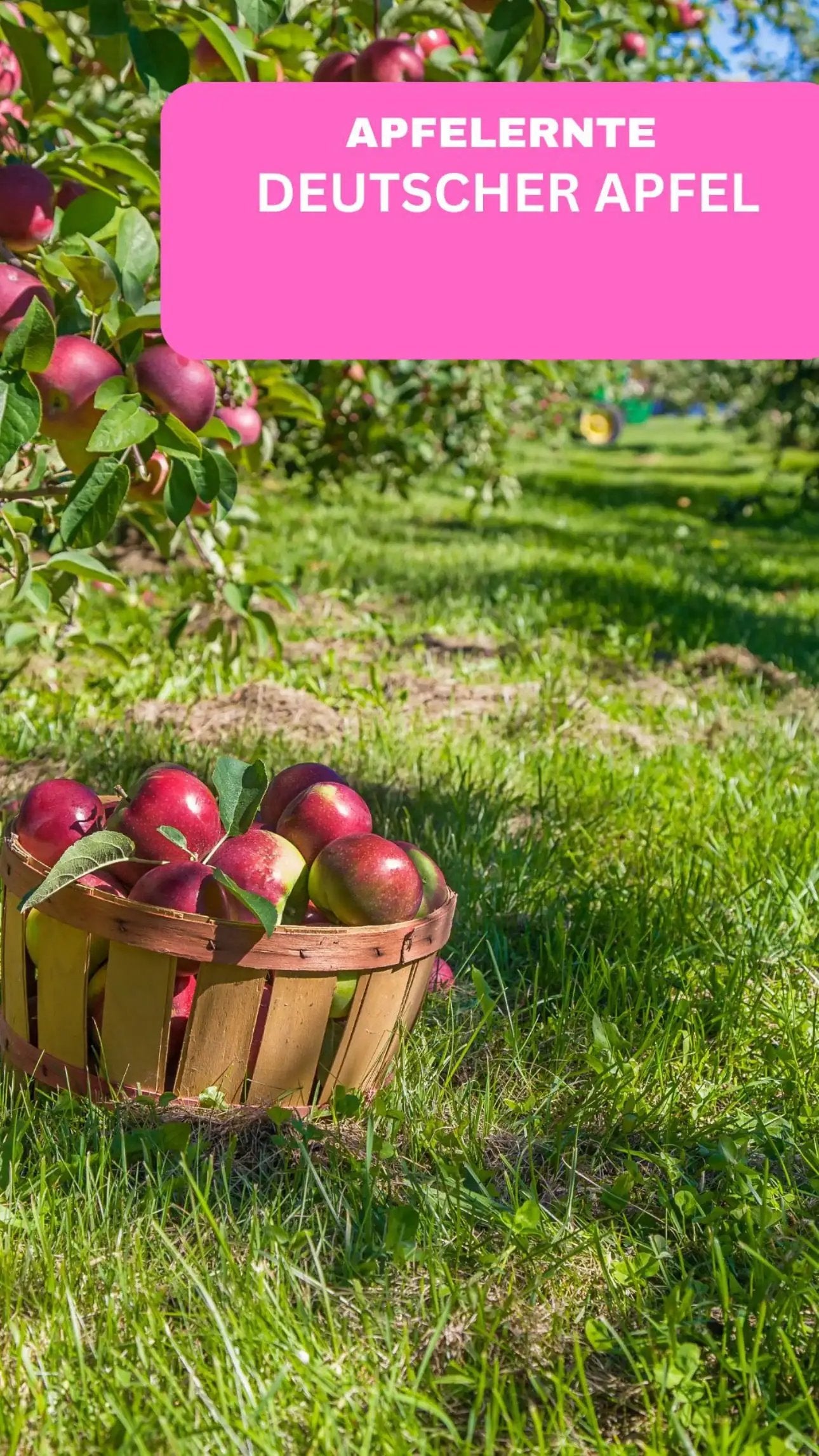 Geilste Kerze - Duftkerze - DEIN TEXT - so individuell wie du! -  from DieBallerei