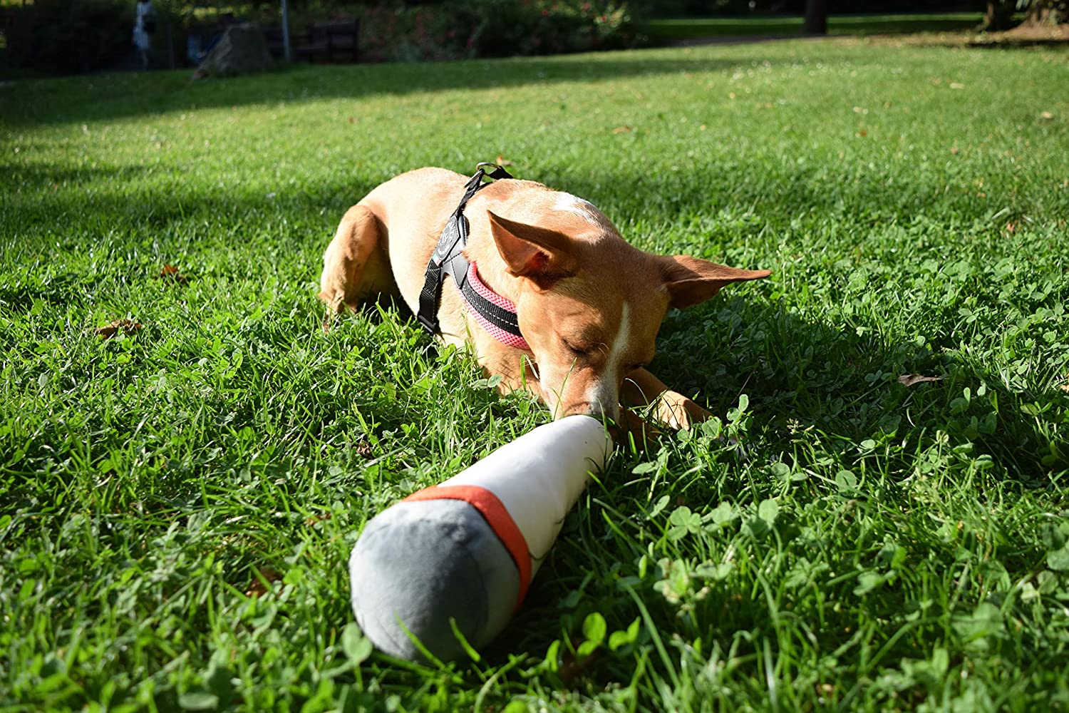 Plüschjoint Spielzeug für Hunde | Quietsch Stofftier | Cannabis Zigarette 420 Lifestyle Geschenk