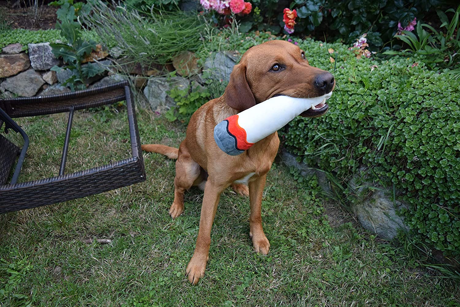 Plüschjoint Spielzeug für Hunde | Quietsch Stofftier | Cannabis Zigarette 420 Lifestyle Geschenk