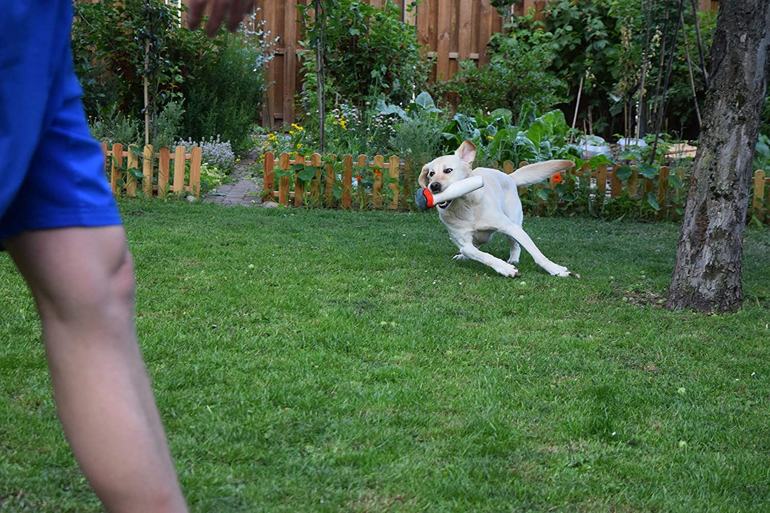 Plüschjoint Spielzeug für Hunde | Quietsch Stofftier | Cannabis Zigarette 420 Lifestyle Geschenk